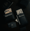 Travel Security Wallet, Decoy Setup, Cash, Cards Separation
